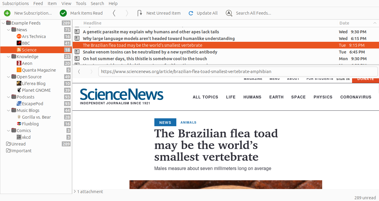 Image of the Liferea application